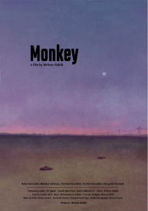 Affiche du film Monkey