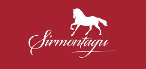 Capture-decran-2025-04-10-a-14.57.29-300x141